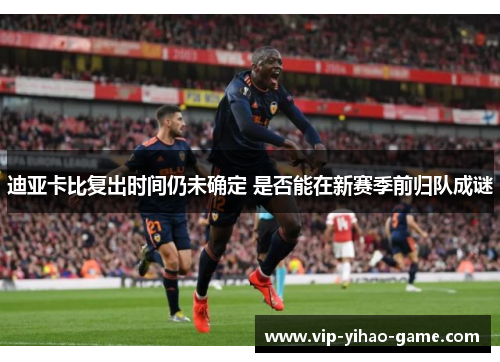 迪亚卡比复出时间仍未确定 是否能在新赛季前归队成谜